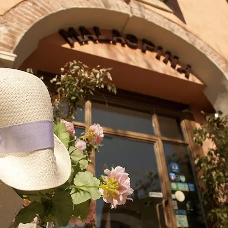 Boutique Corte Malaspina 2* Castelnuovo del Garda